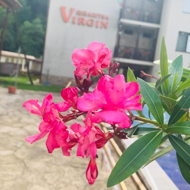 Family Hotel Virgin Ribarica Exterior photo